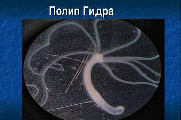Где найти ссылку кракен