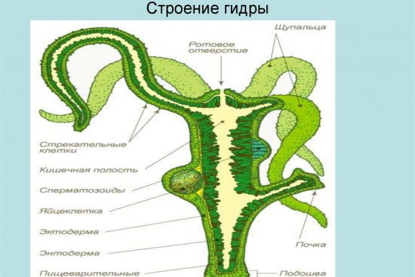 Кракен даркнет скачать